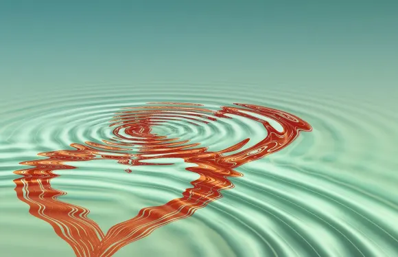 Casigo Kazino Atbalsts